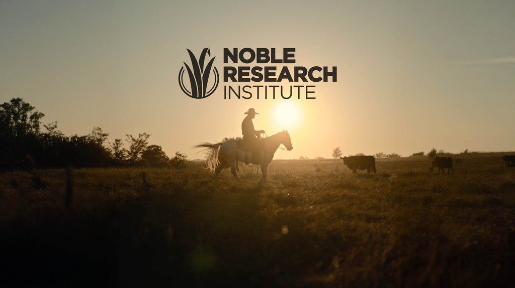 Noble Research Institute campaign still: a rancher on horseback at sunset